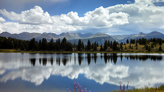 green leafed trees at distance across calm body of water during daytime thumbnail