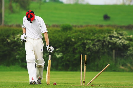 Cricket Stumps thumbnail