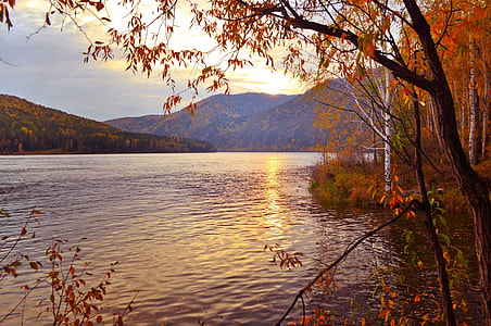 landscape photography of lake surrounded with trees and mountain in the background during daytime thumbnail