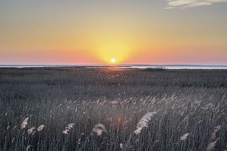 green fields beside body of water thumbnail