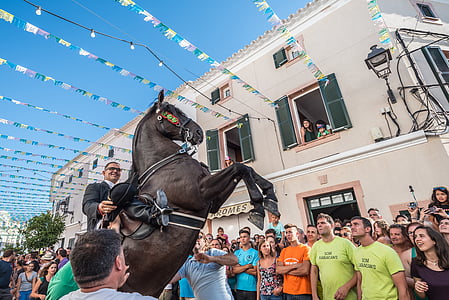 group of people watching horse at the street thumbnail