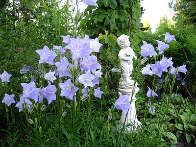 purple petaled flowers near concrete statuete thumbnail