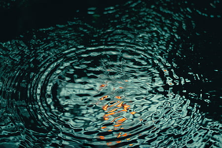 macro photography of water drop thumbnail