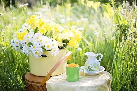white and yellow daisies on yellow stock pot thumbnail