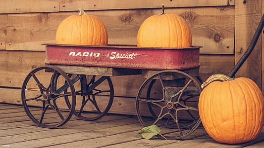 two pumpkins on red Radio wagon thumbnail
