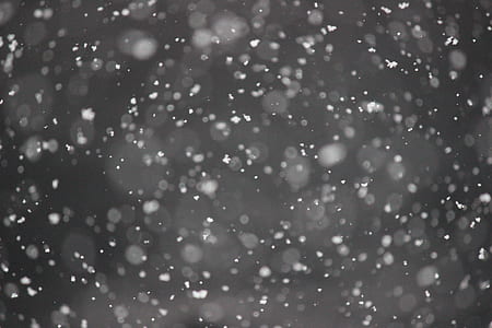 snowing, black and white, december, colorado thumbnail