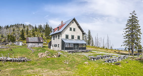 White House Near Pine Trees thumbnail