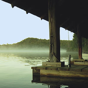 wooden house at the lake near trees during day thumbnail