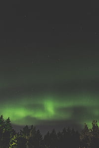 green Northern Lights during nighttime thumbnail