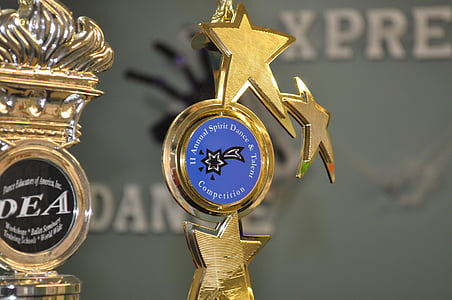 gold 3-stray trophy thumbnail