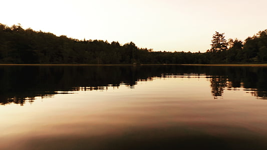 calm lake with surrounding trees thumbnail