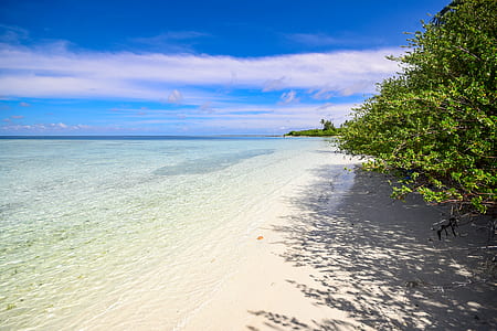sea, nature, sky, beach thumbnail