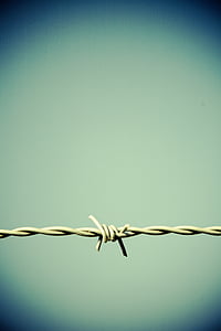 gray barbwire thumbnail
