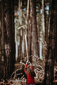 boy holding stick near tree during daytime thumbnail