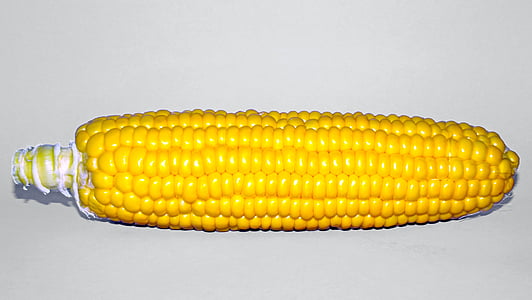 yellow corn thumbnail