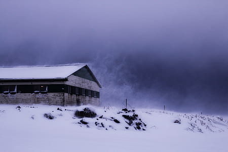 house covered by snow thumbnail