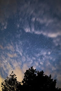 silhouette of trees under blue sky thumbnail