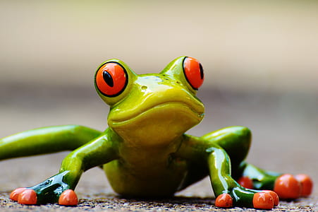 selective focus of green and red frog thumbnail
