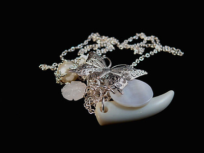 shallow focus photography of white and silver butterfly pendant necklace thumbnail