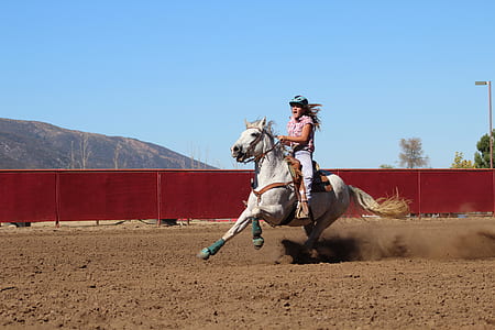 woman rides on white horse during daytime thumbnail