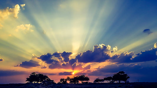silhouette of trees and sun rays photo during sunset thumbnail
