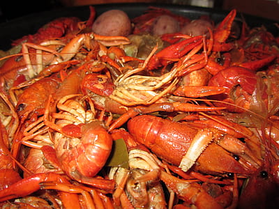 cooked shrimps thumbnail