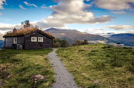 wood, landscape, clouds, summer thumbnail