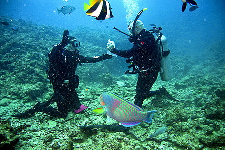 two men underwater diving thumbnail