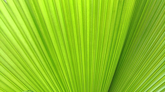 green digital artwork thumbnail