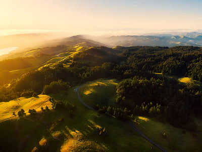 aerial photo of lush field and forest during golden hour thumbnail