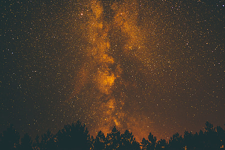 silhouette of trees under sky at night time thumbnail