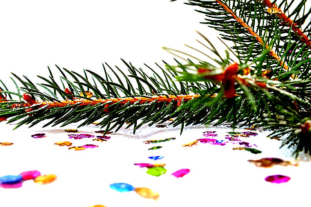 green pine tree leaves thumbnail