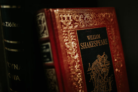 Classic books in elegant covers thumbnail