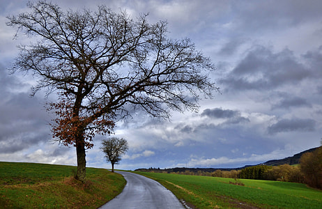 Landscape with tree and clouds in Luxembourg thumbnail