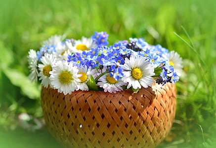 flowers in brown wicker basket thumbnail
