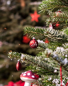 red bauble hanged on christmas tree thumbnail