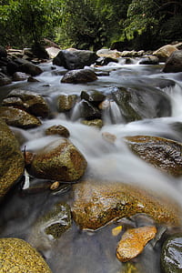 time lapse photography of stream surrounded by trees thumbnail