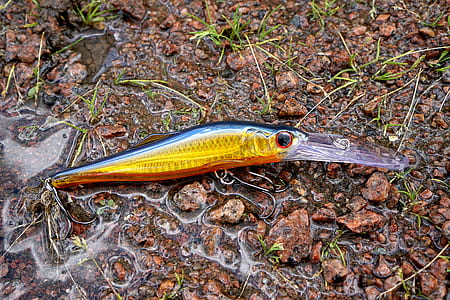 yellow and blue fish lure on stone close-up photography thumbnail