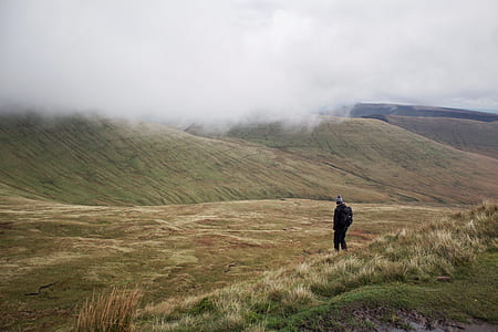 person walking on grass field thumbnail