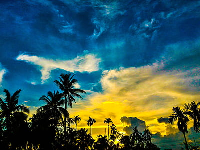 Silhouette of Palm Trees Under Blue and Yellow Sky thumbnail