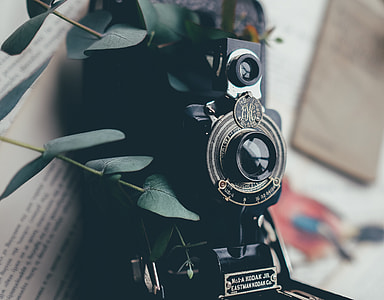 black camera beside green leafed plant thumbnail