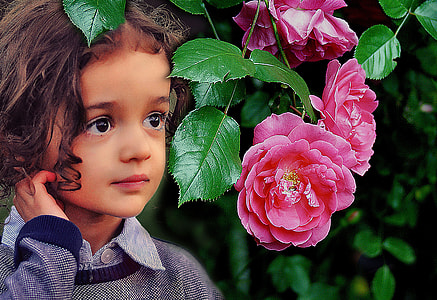 girl beside pink roses in selective focus photography thumbnail