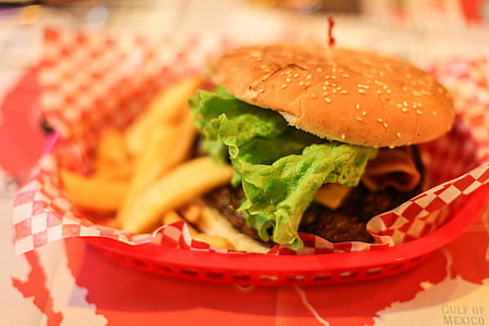 plate of burger and fries thumbnail