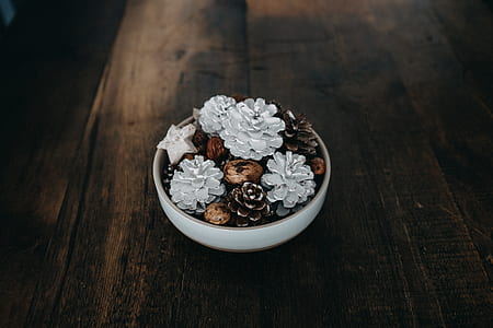 succulent plant on brown wooden desk thumbnail