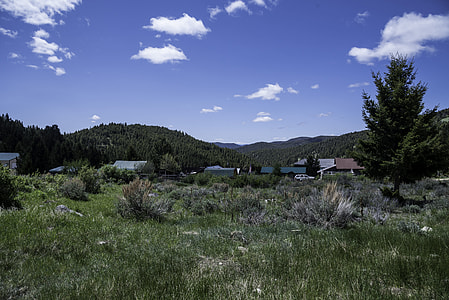 Vegetation and landscape of Elkhorn, Montana thumbnail