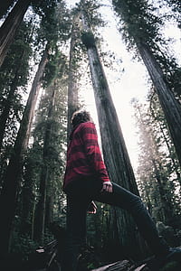 man walking beside forest thumbnail