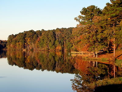 body of water near high trees during daytime thumbnail