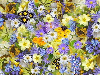 assorted-color flower display thumbnail