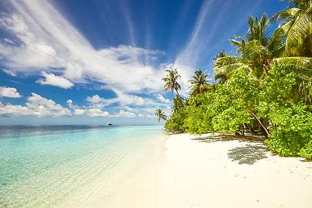 sea, sky, beach, sand thumbnail