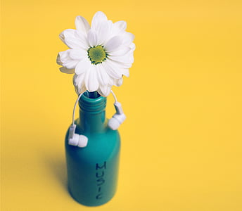 white daisy on teal bottle thumbnail